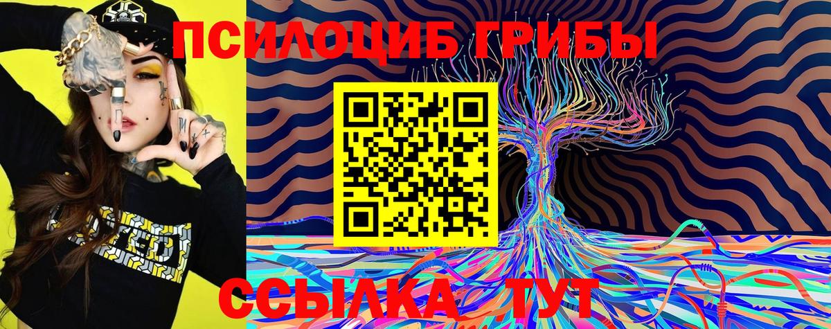 Псилоцибиновые грибы Magic Shrooms Полысаево