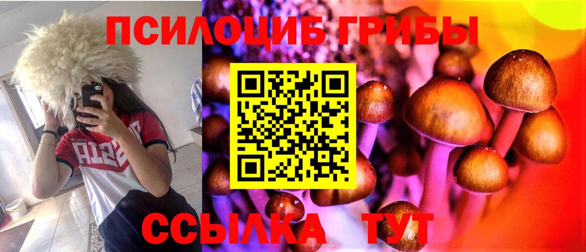 Галлюциногенные грибы Psilocybe  Вход с VPN  Полысаево  Псилоцибиновые грибы Psilocybine cubensis 